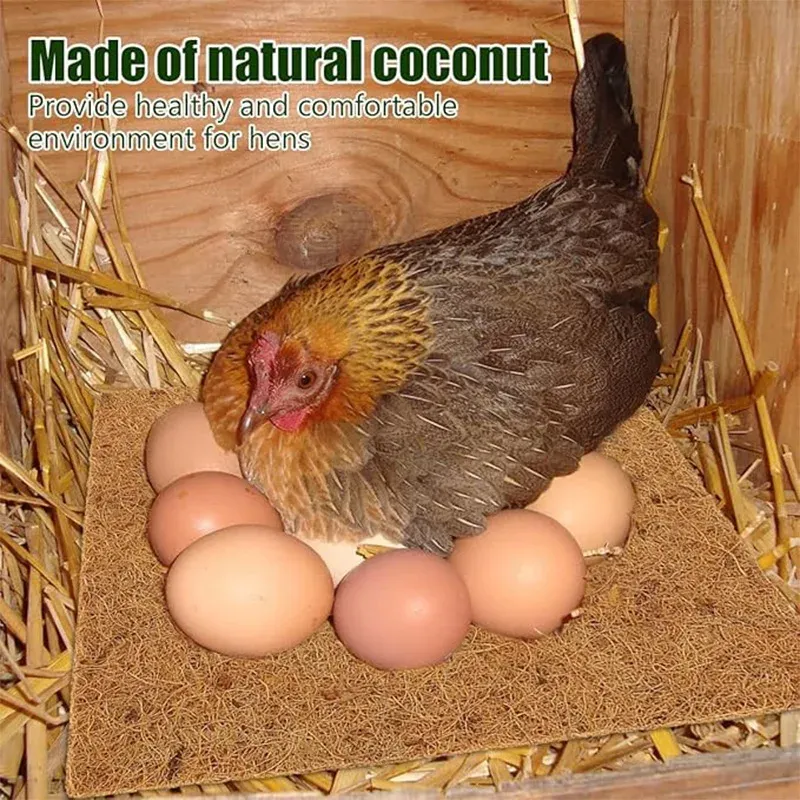 Nidification fibre coco écologique 1 à 10 pièces pour poules pondeuses