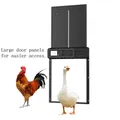 Ouvre-porte poulailler acier inoxydable amélioré minuterie – 1