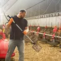 Pelle à litière de poulet réglable avec tamis extensible – 2