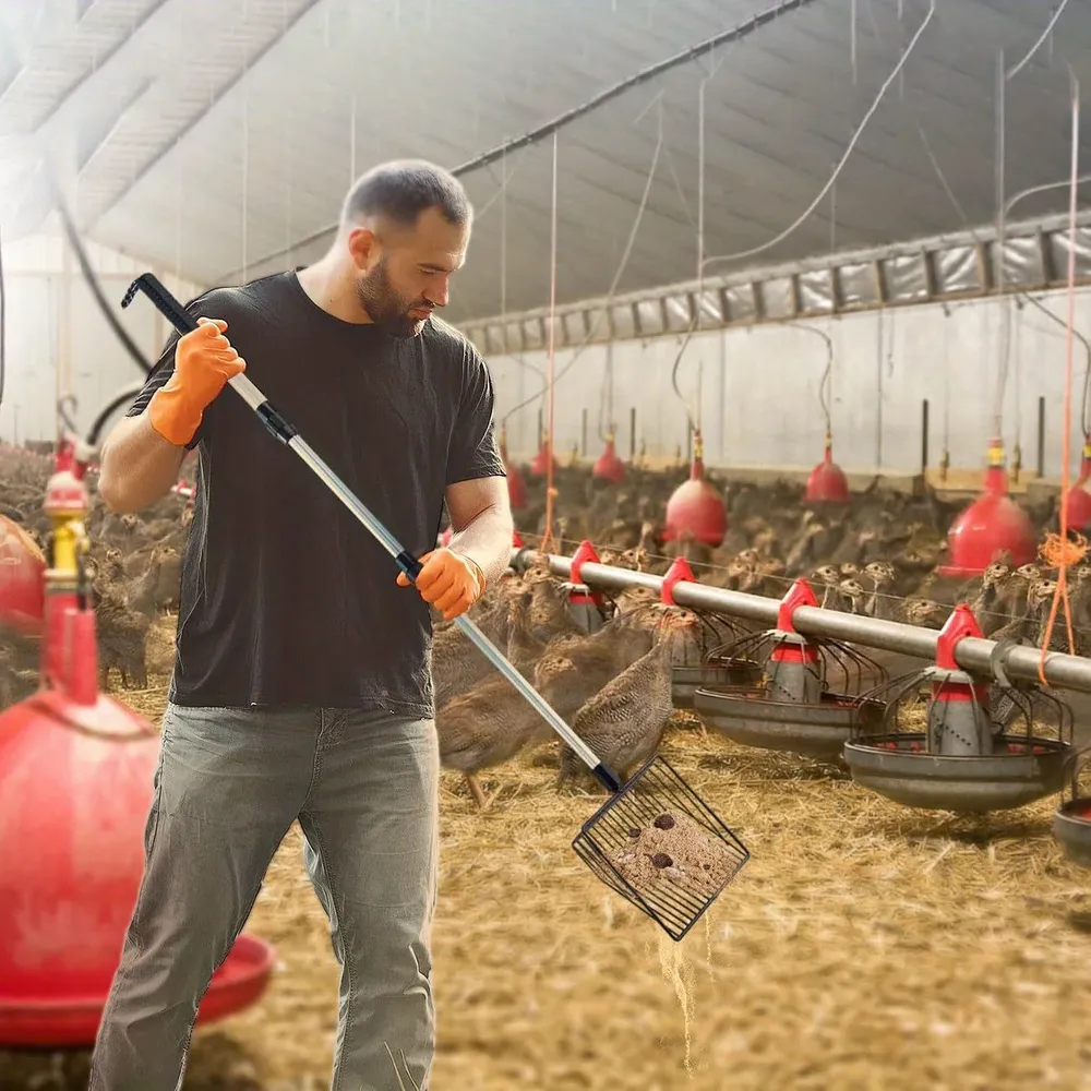 Pelle à litière de poulet réglable avec tamis extensible