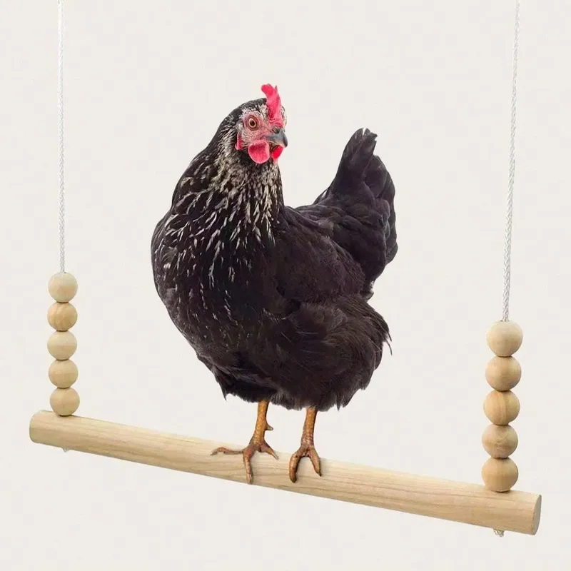 Perchoir balançoire poulets bois jouet d'escalade volaille