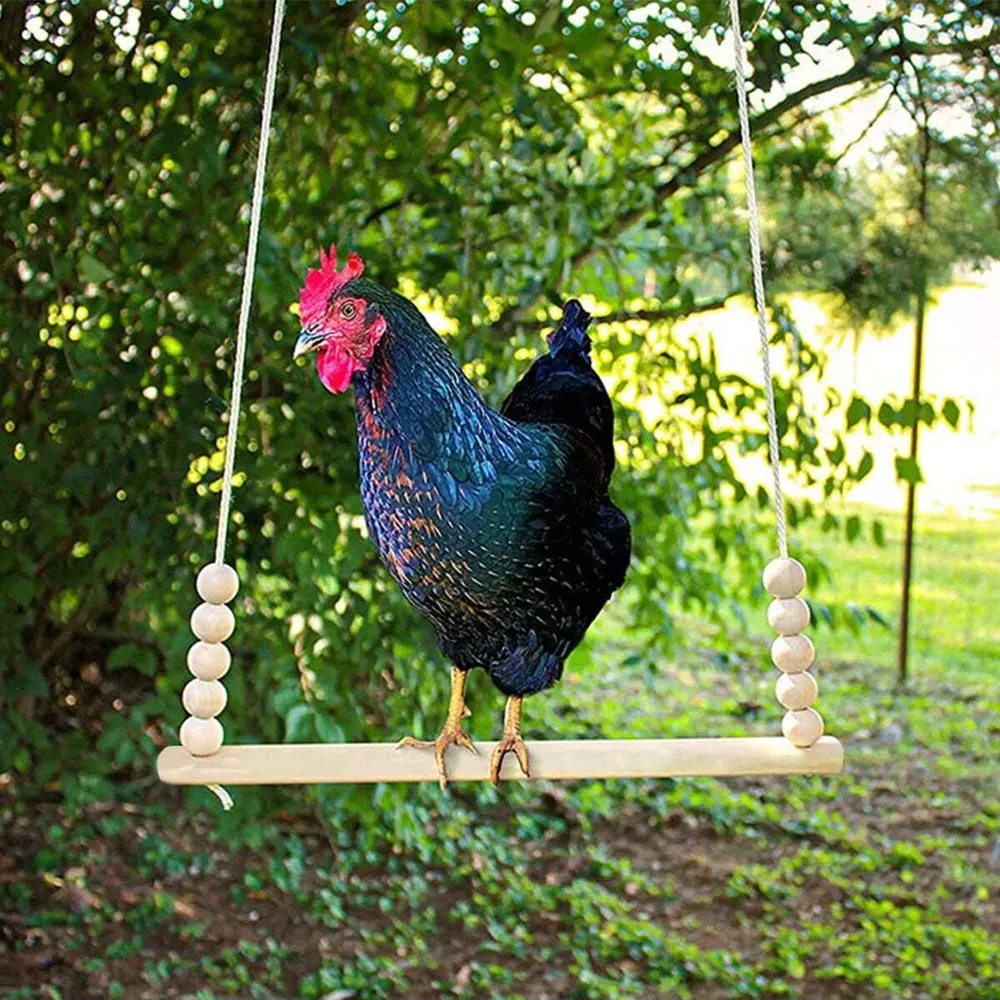 Perchoir balançoire poulets bois jouet d'escalade volaille