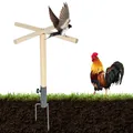 Perchoir extérieur bois avec prise de terre pour oiseaux – 4