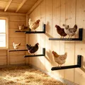 Perchoir mural horizontal en L pour poulets et volailles – 1