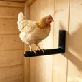 Perchoir mural horizontal en L pour poulets et volailles – 2