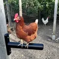 Perchoir mural poules imprimé 3D support suspendu robuste – 1