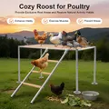 Perchoir plateforme poulets bois avec échelle pour oiseaux – 1
