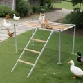 Perchoir plateforme poulets bois avec échelle pour oiseaux – 3