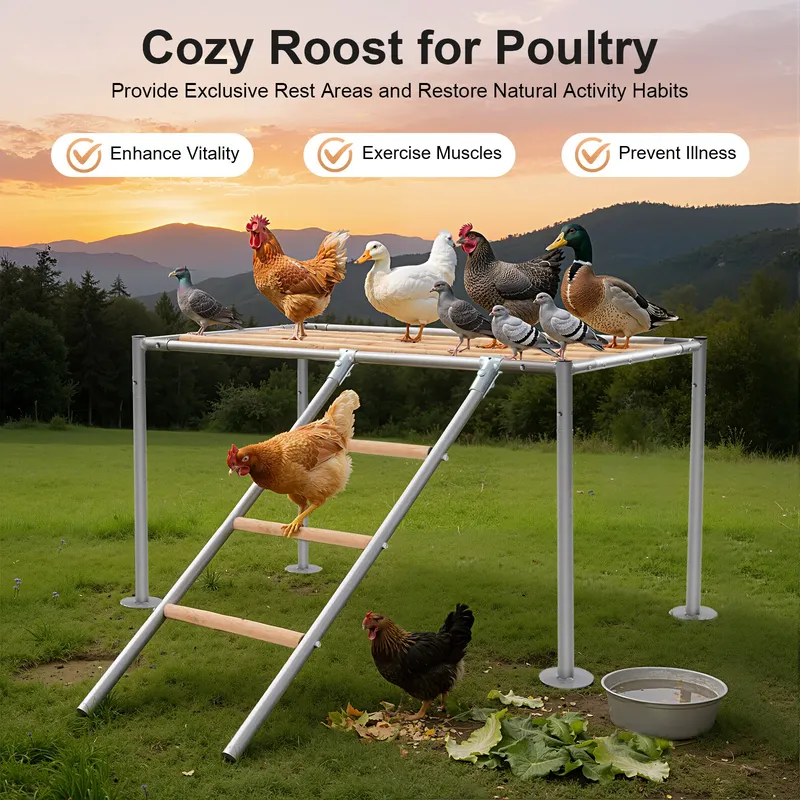 Perchoir plateforme poulets bois avec échelle pour oiseaux