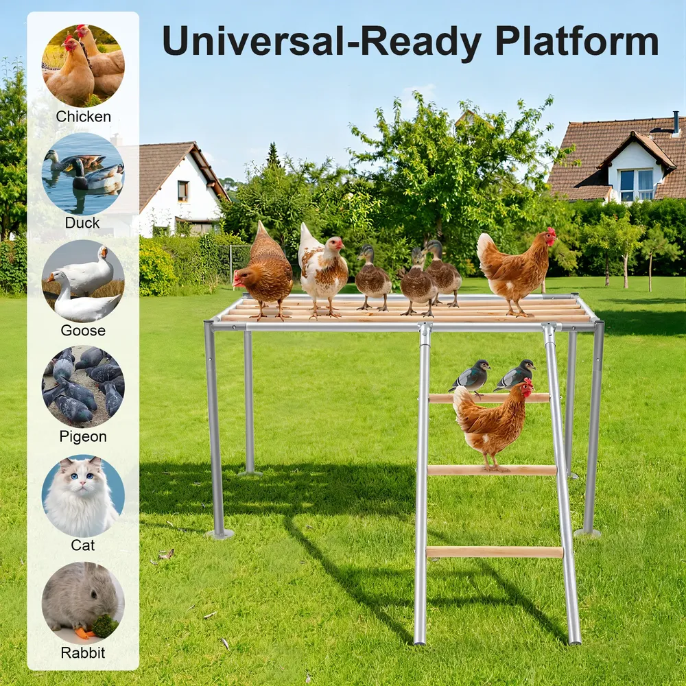 Perchoir plateforme poulets bois avec échelle pour oiseaux