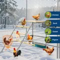 Perchoir poules avec balançoire et échelle pour volailles – 5