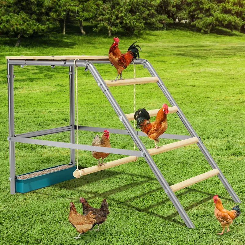 Perchoir poules avec balançoire et échelle pour volailles