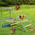 Perchoir poules balançoire échelle jouet pour volailles jardin – 6
