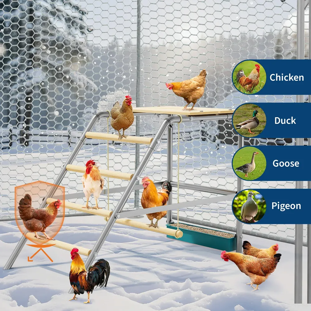 Perchoir poules balançoire échelle jouet pour volailles jardin