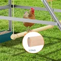 Perchoir poules métal avec balançoire échelle et mangeoire – 3
