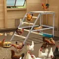 Perchoir poules métal avec balançoire échelle et mangeoire – 8