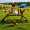 Perchoir poulets bois avec balançoire et échelle pour 10 poulets – 2