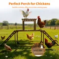 Perchoir poulets bois avec balançoire et échelle pour 10 poulets – 5