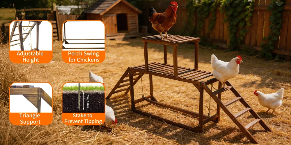 Perchoir poulets bois avec balançoire et échelle pour 10 poulets