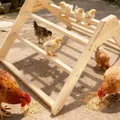 Perchoir poulets bois barre échelle jouet pour poulailler – 6