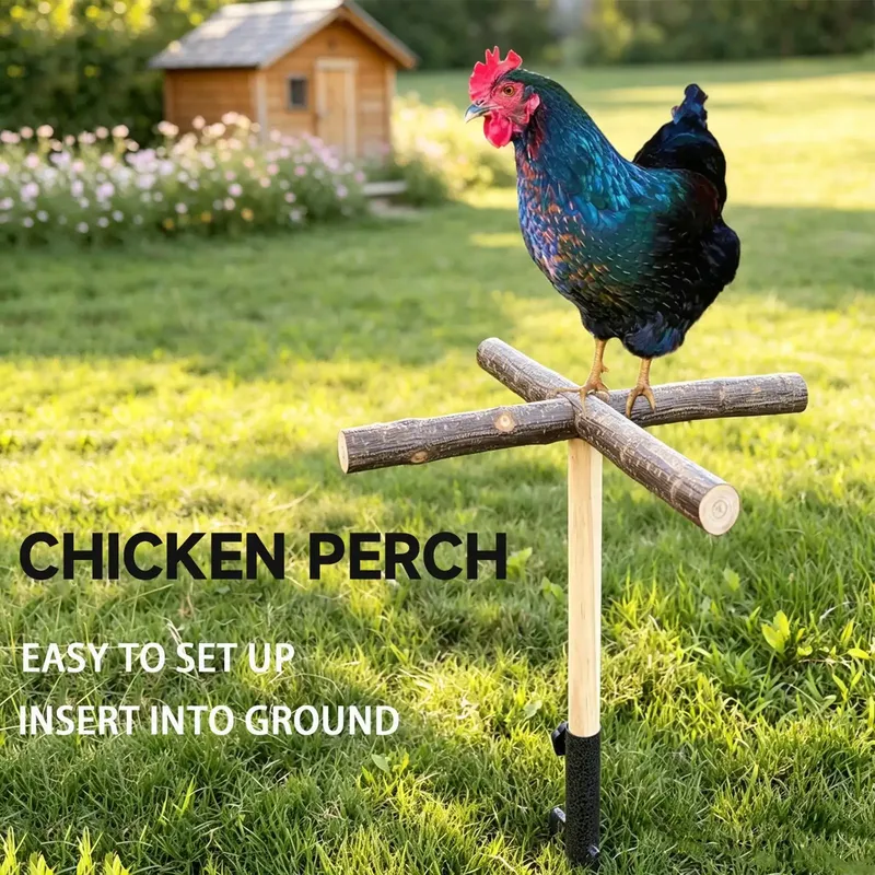 Perchoir poulets bois extérieur pour ferme et jardin