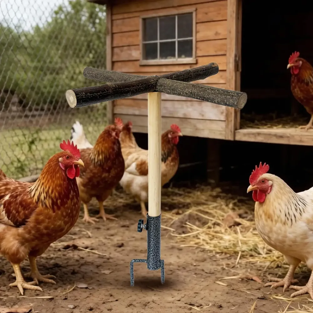 Perchoir poulets bois extérieur pour ferme et jardin