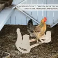 Perchoir poulets bois naturel barre de repos résistant morsure – 1