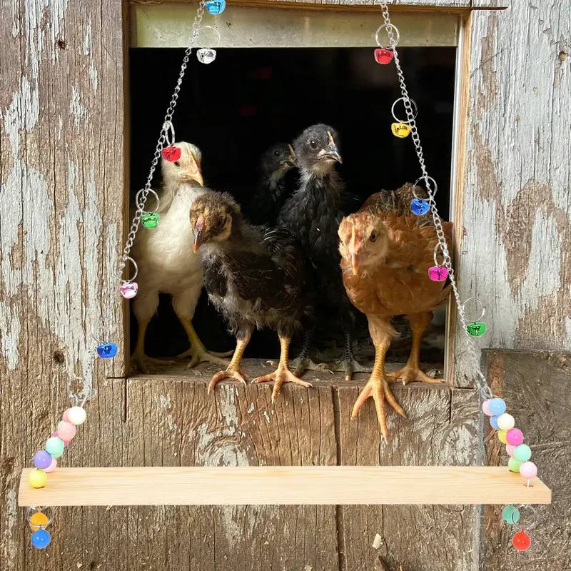 Perchoir poulets bois support coqs poussins cage volaille