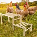 Perchoir poulets bois sûr et robuste pour jardin et ferme – 2