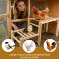 Perchoir poulets bois sûr et robuste pour jardin et ferme – 6