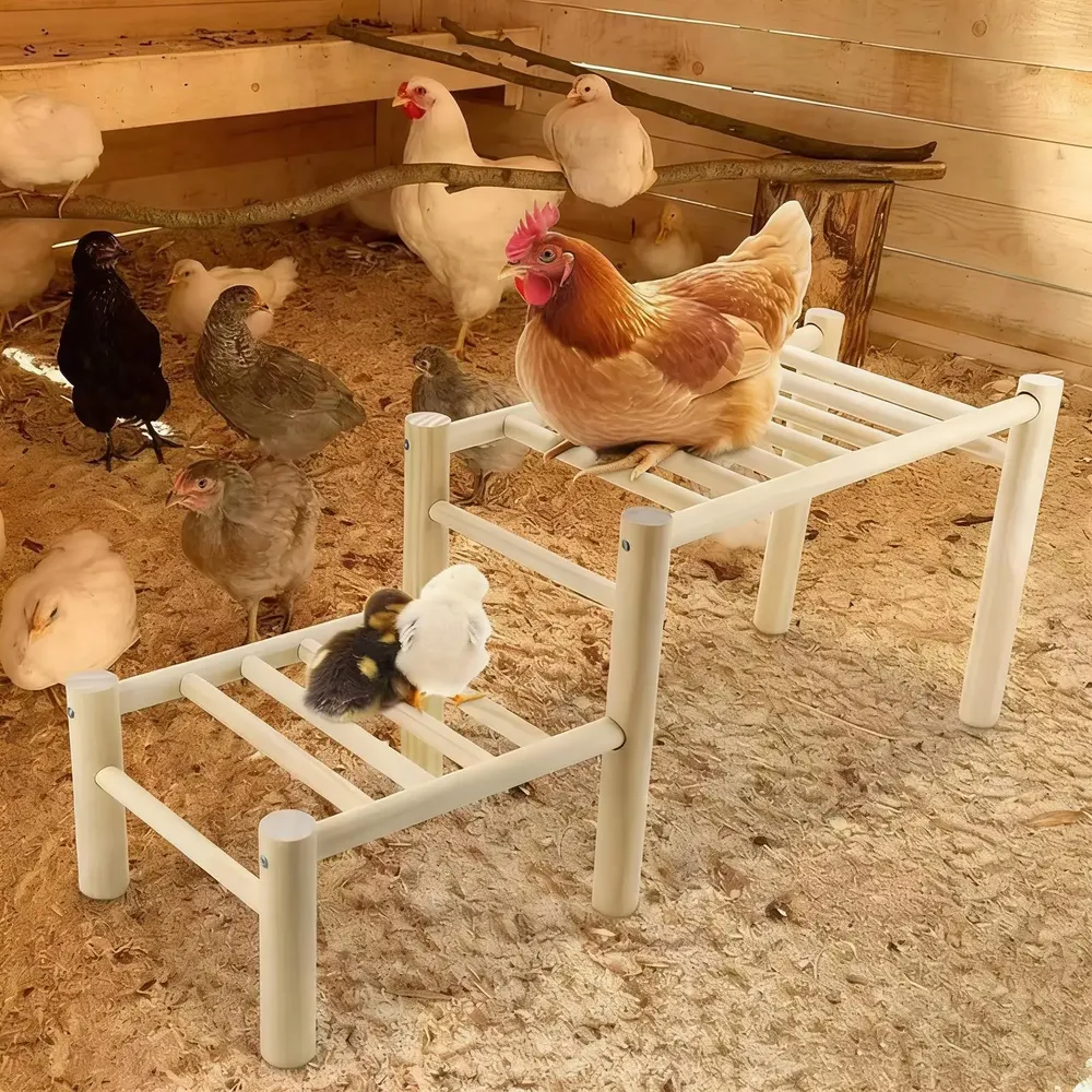 Perchoir poulets bois sûr et robuste pour jardin et ferme
