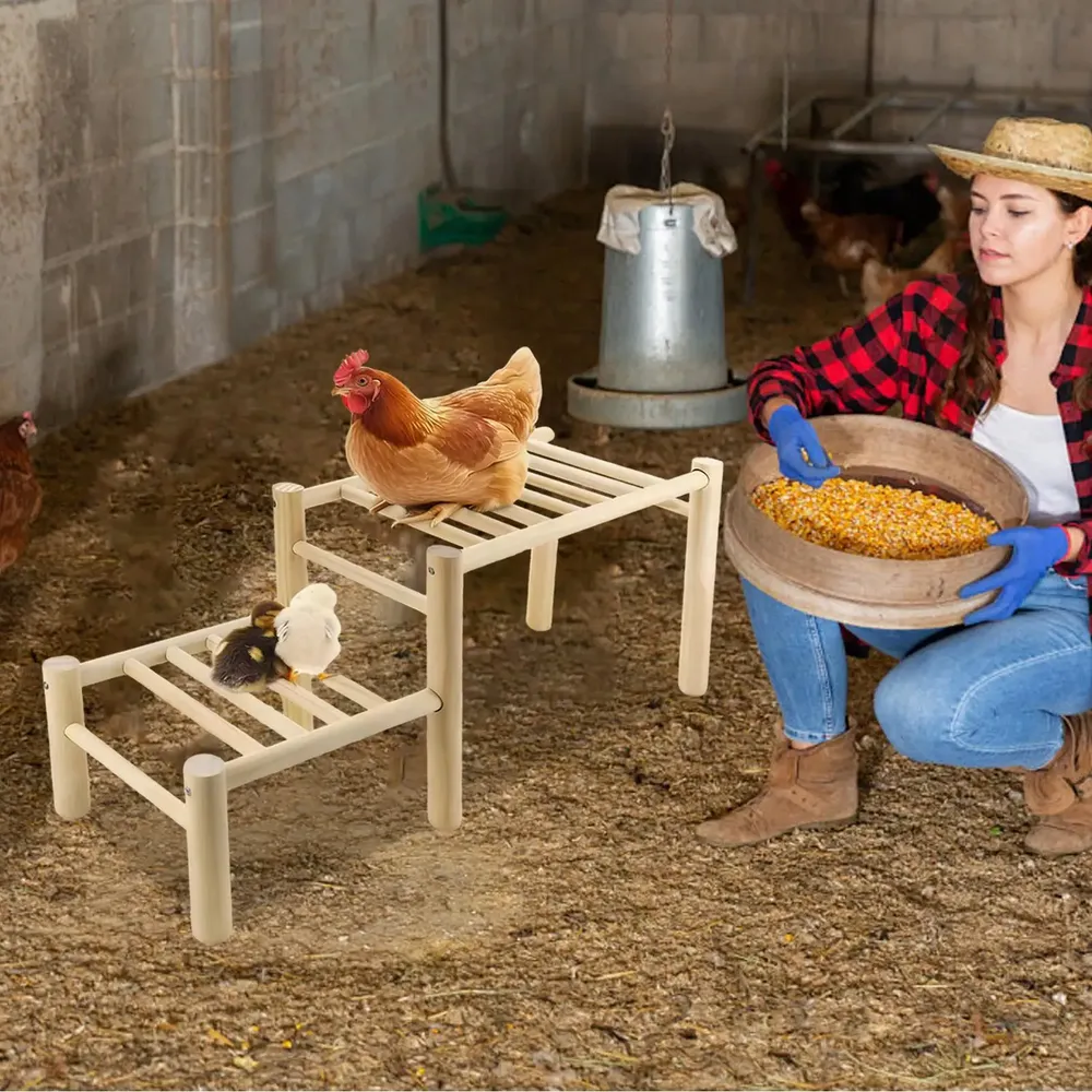 Perchoir poulets bois sûr et robuste pour jardin et ferme