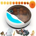 Petit incubateur automatique température constante domestique – 1