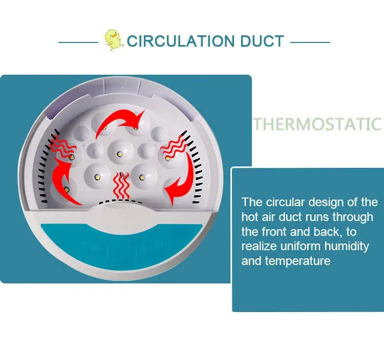 Petit incubateur automatique température constante domestique