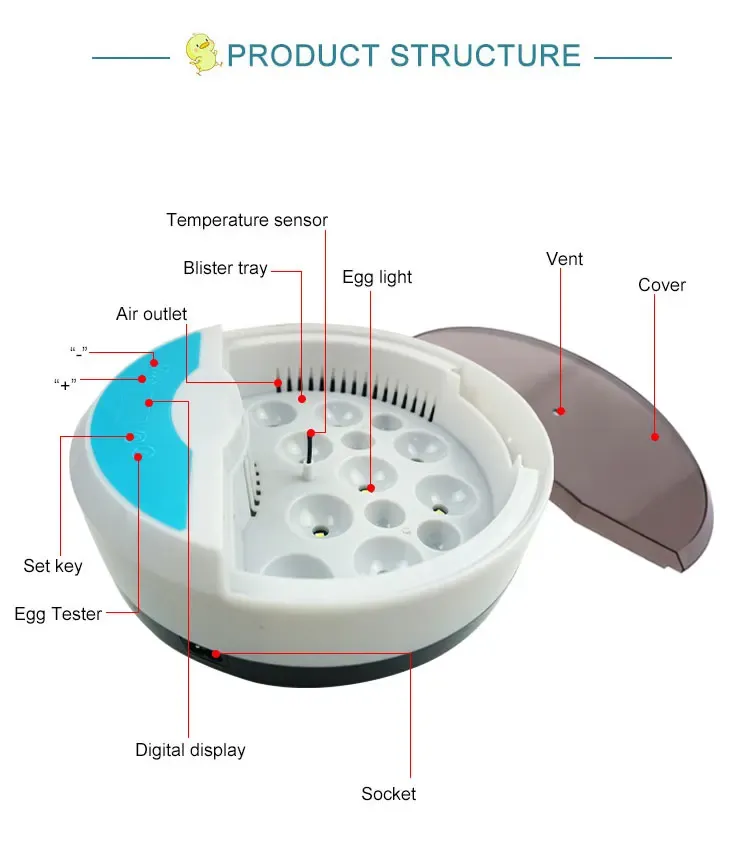 Petit incubateur automatique température constante domestique