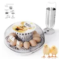 Petit incubateur domestique 12 œufs ajout d'eau automatique – 1