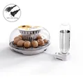 Petit incubateur domestique 12 œufs ajout d'eau automatique – Couleur 110V US Plug