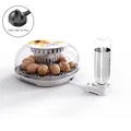 Petit incubateur domestique 12 œufs ajout d'eau automatique – Couleur 220V UK Plug