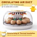 Petit incubateur domestique 12 œufs ajout d'eau automatique – 3