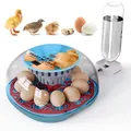 Petit incubateur domestique 12 œufs ajout d'eau automatique – Couleur blue-us-plug