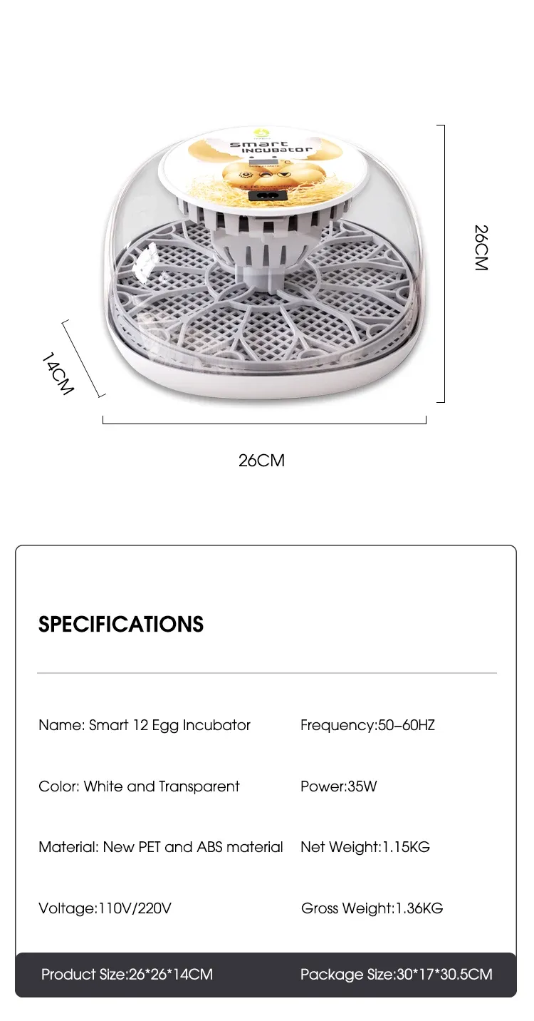 Petit incubateur domestique 12 œufs ajout d'eau automatique