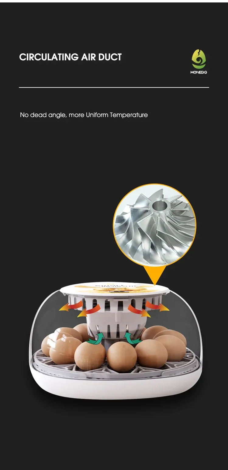 Petit incubateur domestique 12 œufs ajout d'eau automatique