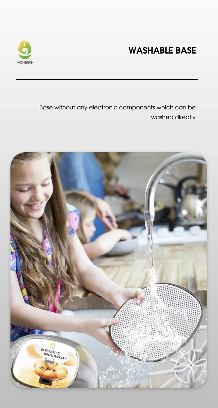 Petit incubateur domestique 12 œufs ajout d'eau automatique