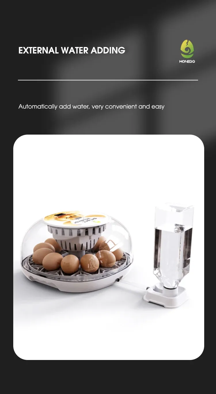 Petit incubateur domestique 12 œufs ajout d'eau automatique