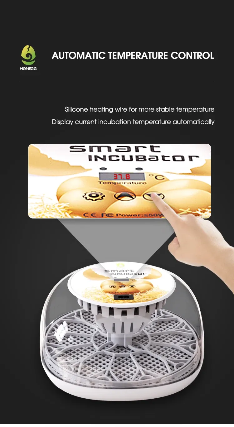 Petit incubateur domestique 12 œufs ajout d'eau automatique