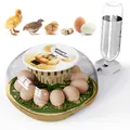 Petit incubateur domestique 12 œufs ajout d'eau automatique – Couleur yellow-us-plug