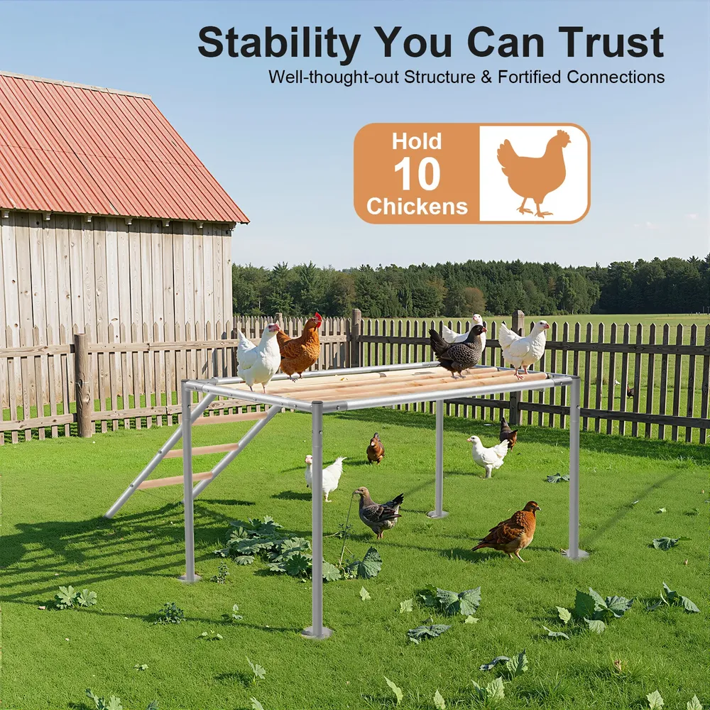 Plateforme de repos poulets 105 cm avec échelle pour 10 poulets