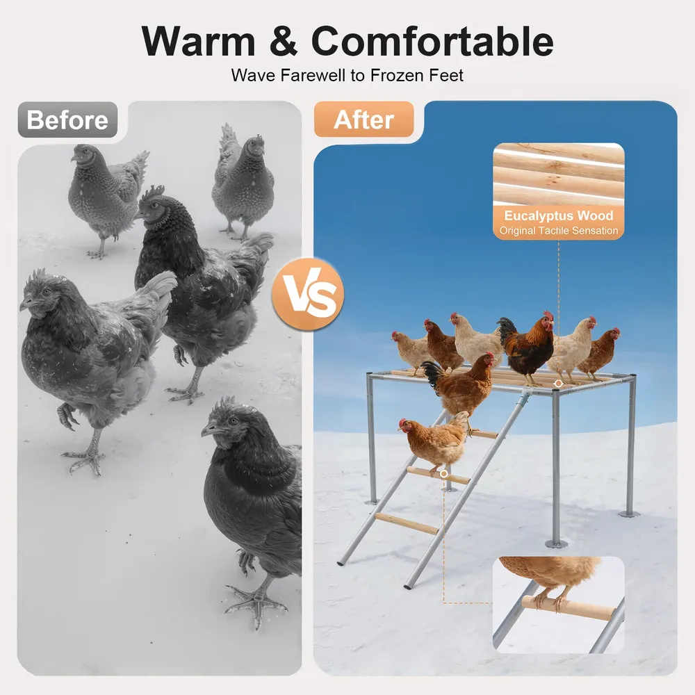 Plateforme de repos poulets 105 cm avec échelle pour 10 poulets
