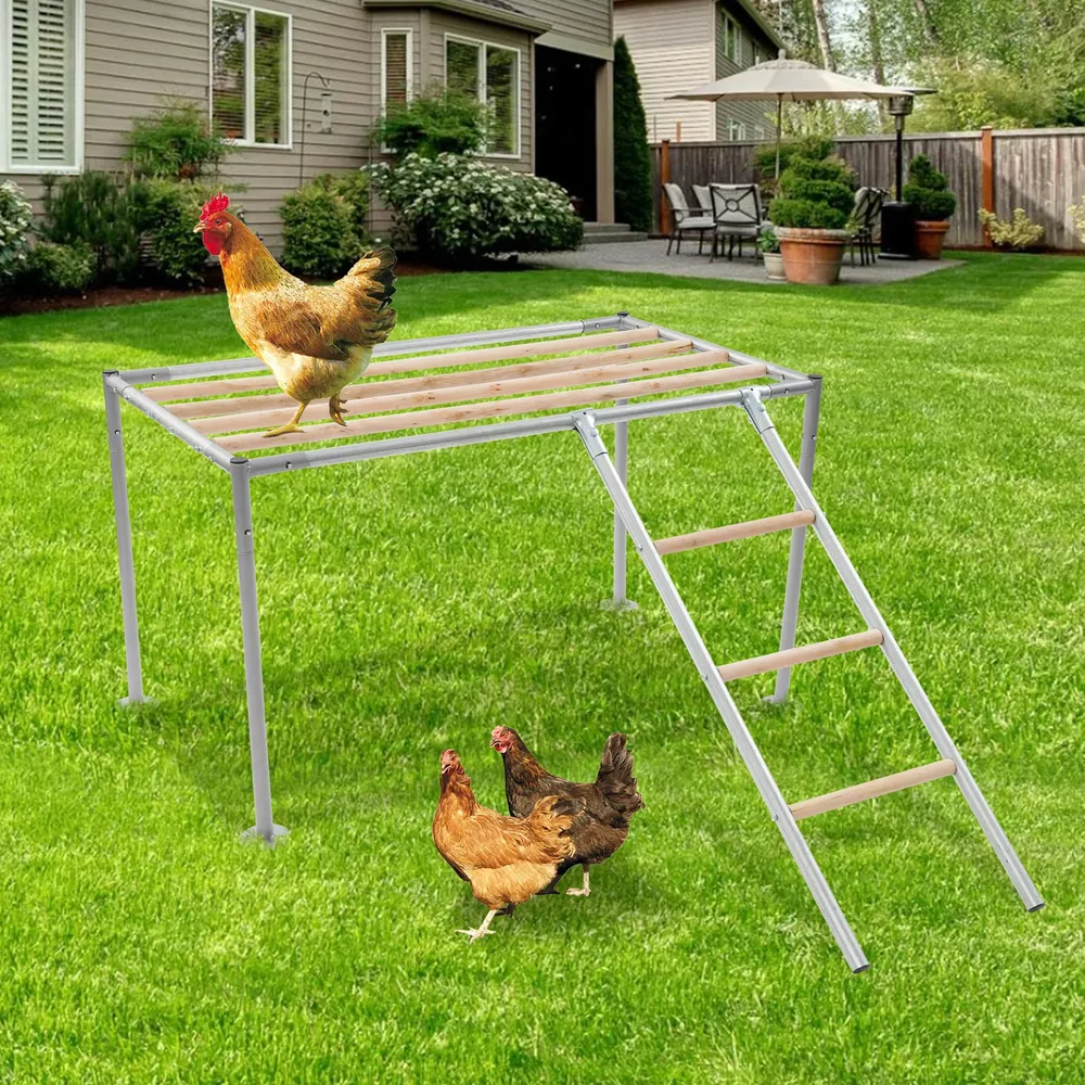Plateforme de repos poulets 105 cm avec échelle pour 10 poulets