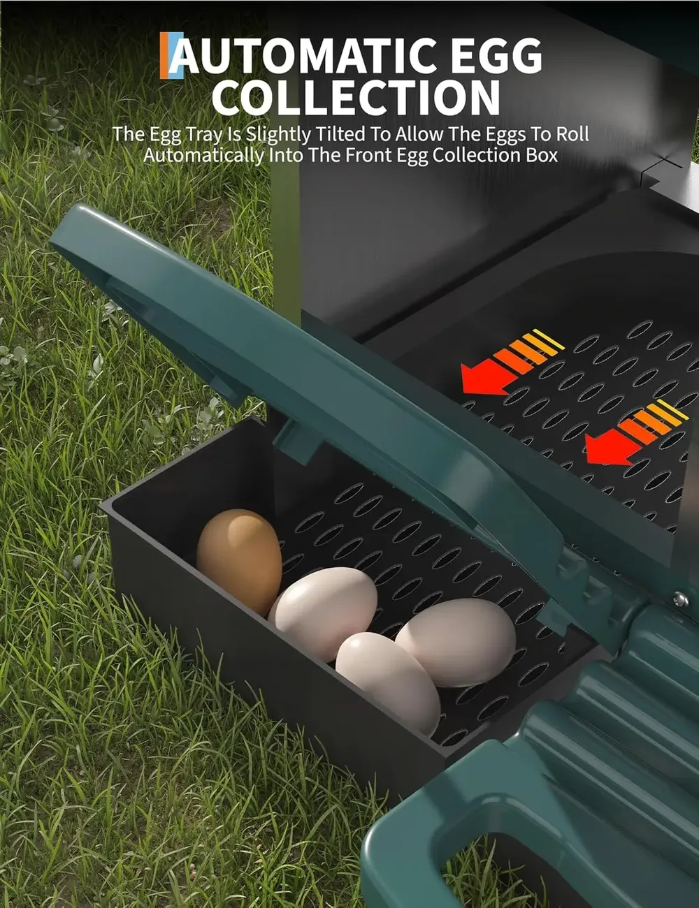 Pondoir poules acier galvanisé 3 compartiments avec plateau récupération